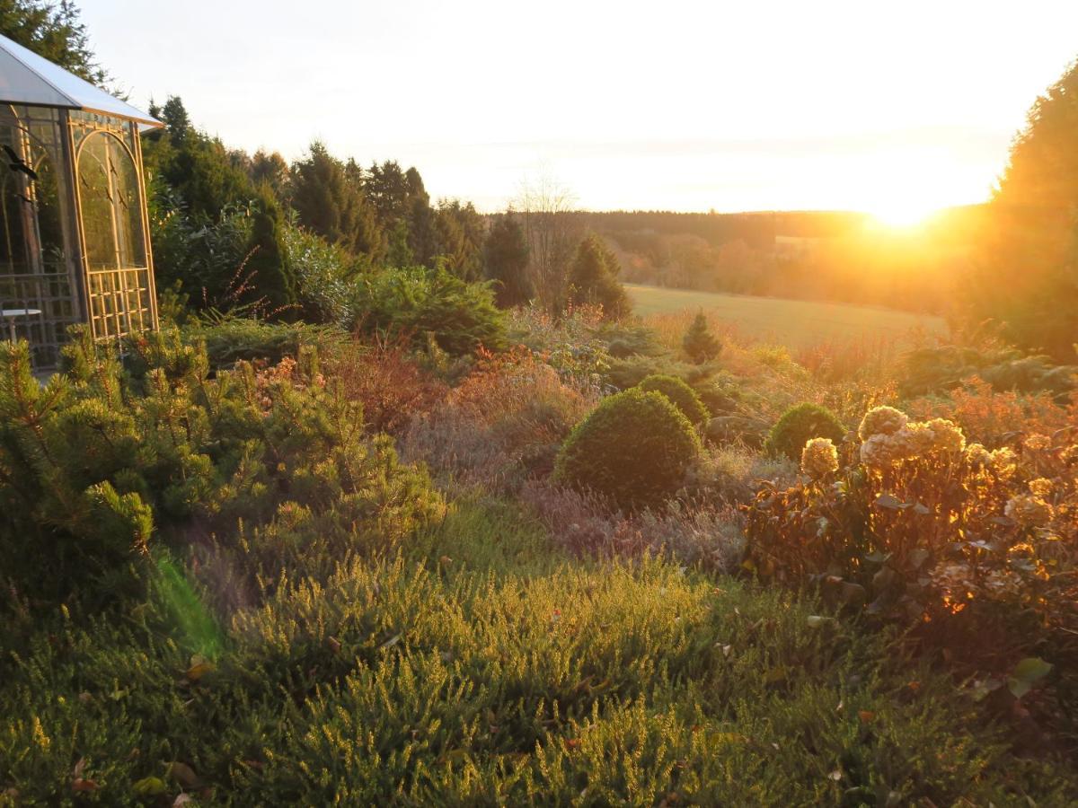 فيلا Ferienhaus Sonne, Harz Und Sterne Hohegeiß المظهر الخارجي الصورة