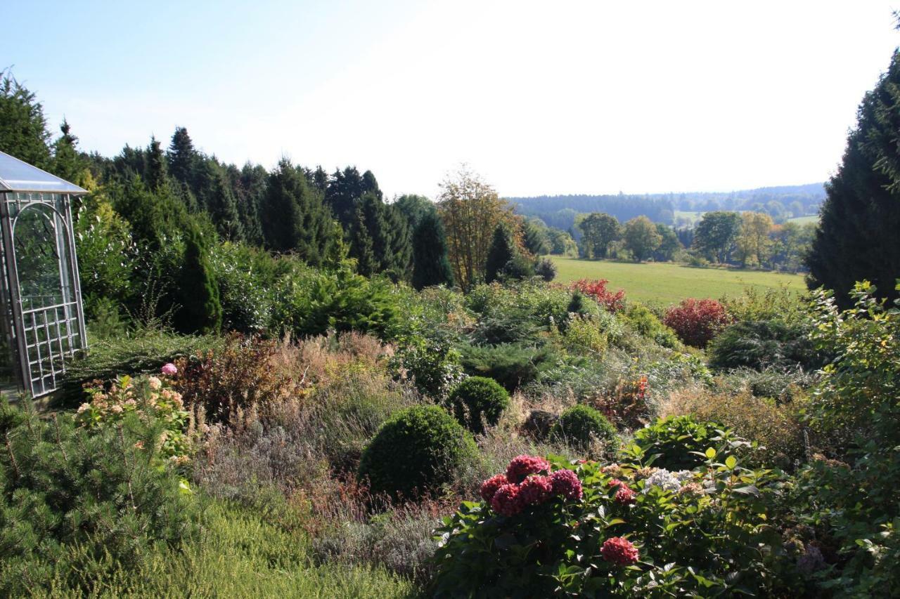 فيلا Ferienhaus Sonne, Harz Und Sterne Hohegeiß المظهر الخارجي الصورة