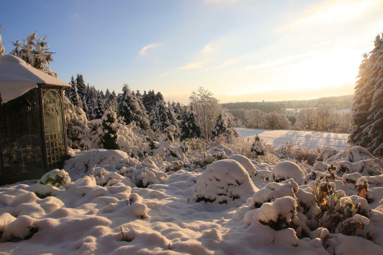 فيلا Ferienhaus Sonne, Harz Und Sterne Hohegeiß المظهر الخارجي الصورة