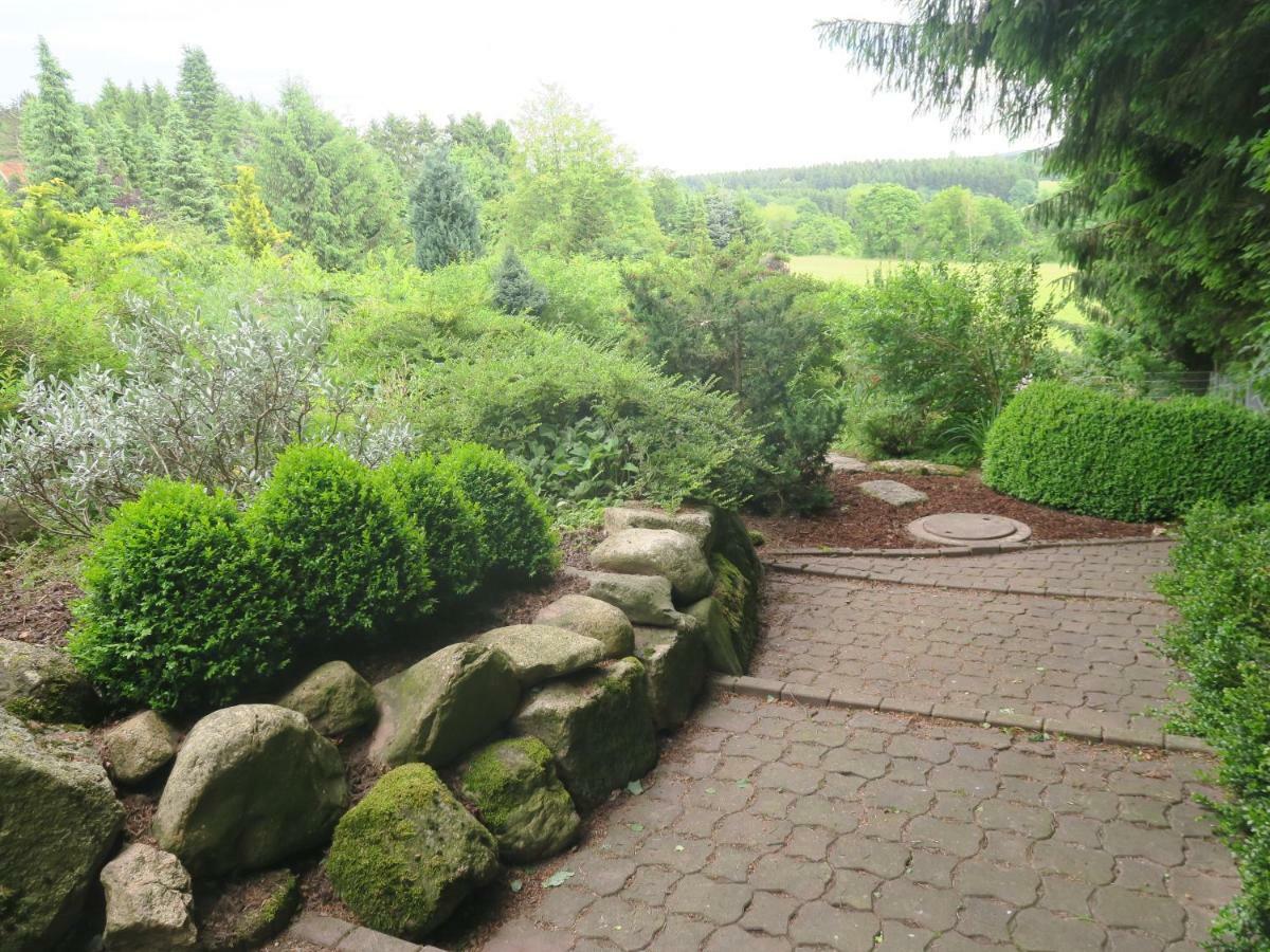 فيلا Ferienhaus Sonne, Harz Und Sterne Hohegeiß المظهر الخارجي الصورة