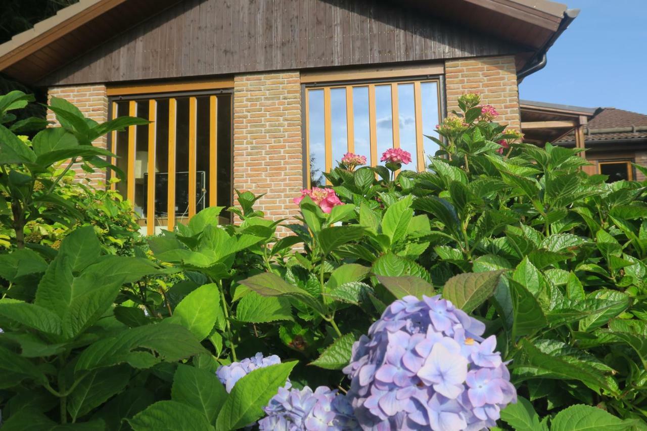 فيلا Ferienhaus Sonne, Harz Und Sterne Hohegeiß المظهر الخارجي الصورة