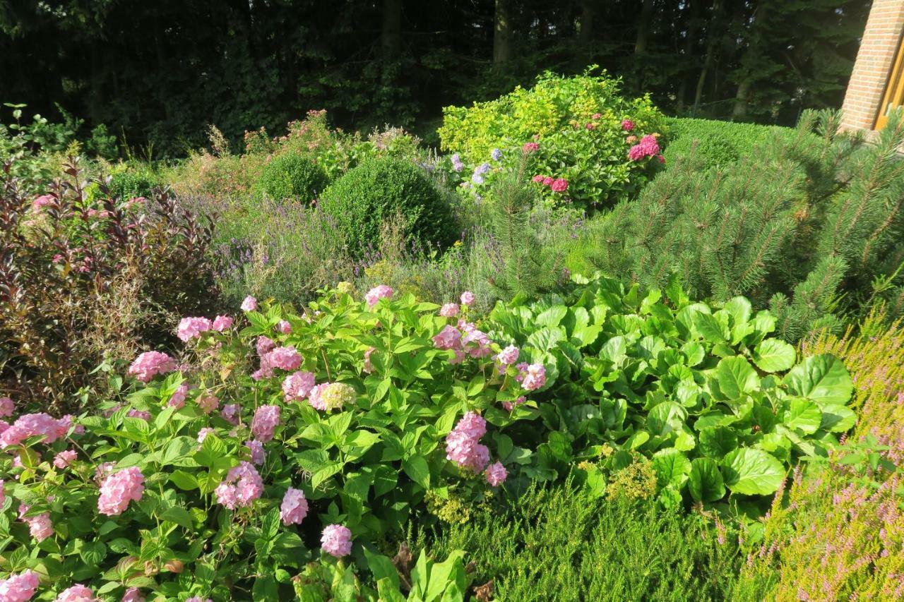 فيلا Ferienhaus Sonne, Harz Und Sterne Hohegeiß المظهر الخارجي الصورة